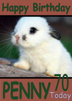 Funny Rabbit On Rock Birthday Card Funny Rabbit On Rock Birthday Card