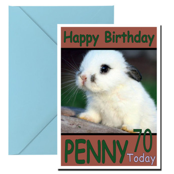 Funny Rabbit On Rock Birthday Card Funny Rabbit On Rock Birthday Card