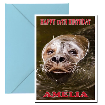 Funny Seal 3 Birthday Card Funny Seal 3 Birthday Card