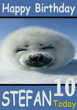 Funny Sleeping Seal Pup Birthday Card Funny Sleeping Seal Pup Birthday Card