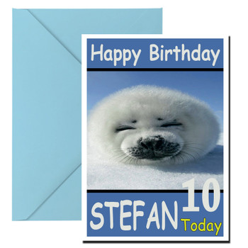 Funny Sleeping Seal Pup Birthday Card Funny Sleeping Seal Pup Birthday Card