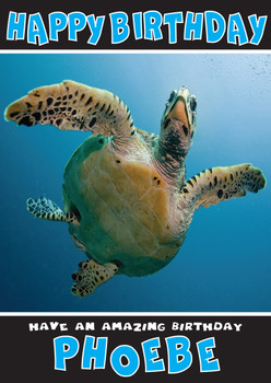 Funny Turtle 2 Birthday Card