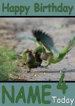 Funny Two Birds Walking Birthday Card Funny Two Birds Walking Birthday Card