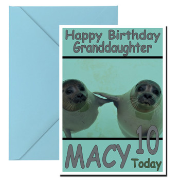 Funny Two Seals Grandaughter Birthday Card Funny Two Seals Grandaughter Birthday Card