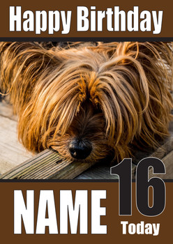 Funny Yorkshire Terrier 2 Birthday Card