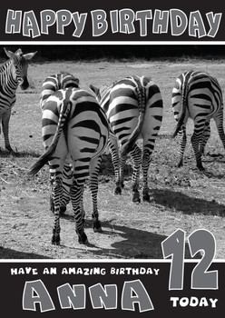 Funny Zebra 1 Birthday Card