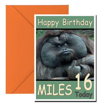 Ape Giving Middle Finger Birthday Card Ape Giving Middle Finger Birthday Card