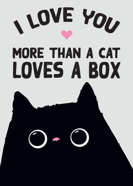 I Love You More Than A Cat Loves A Box Card