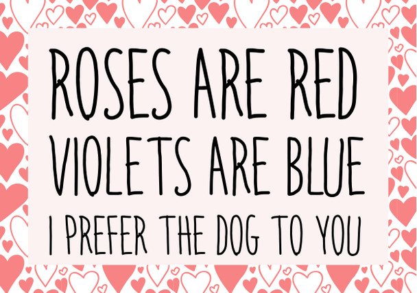 Naughty 122 Roses Are Red Violets Are Blue I Prefer The Dog To You Card