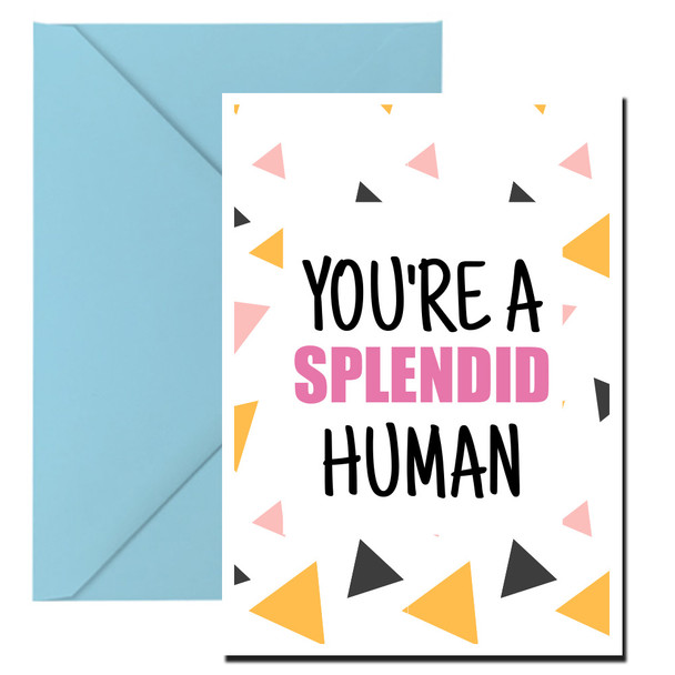Naughty 349 You're A Splendid Human Birthday Card