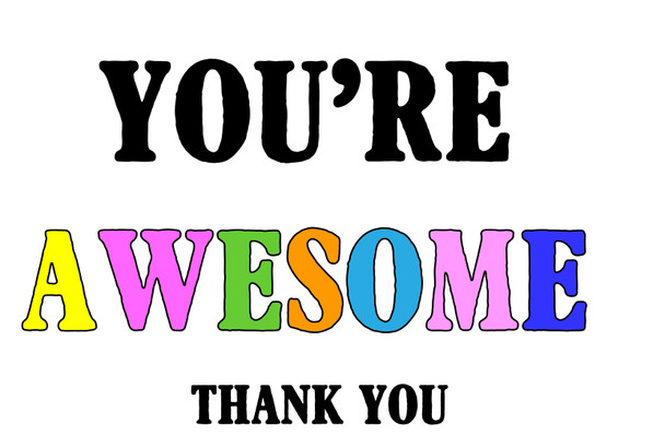 Naughty 354a You're Awesome - Thank You Birthday Card