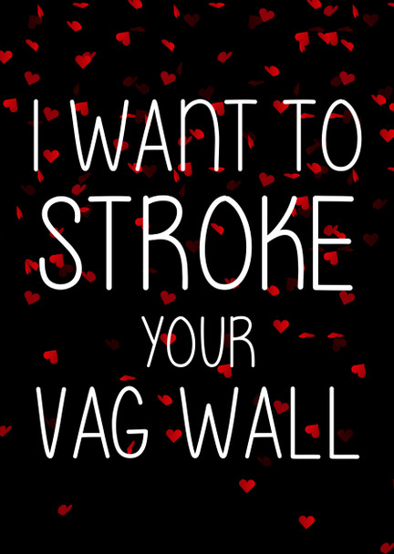 Naughty 177b I Want To Stroke Your Vag Wall Birthday Card