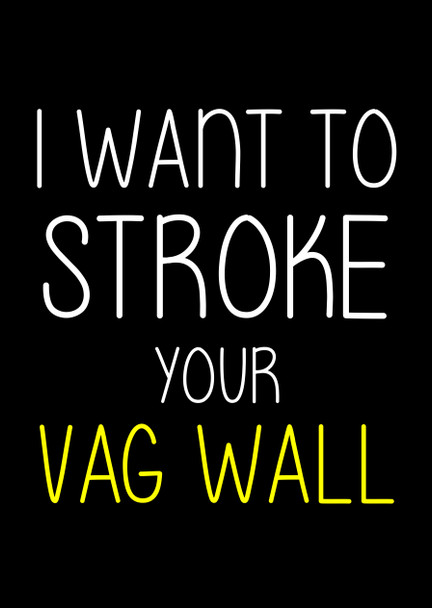 Naughty 177c I Want To Stroke Your Vag Wall Birthday Card