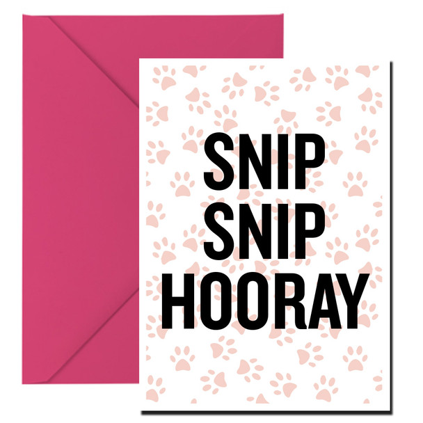 Naughty 247 Snip Snip Hooray Birthday Card