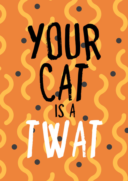 Naughty 396 Your Cat Is A Twat Birthday Card