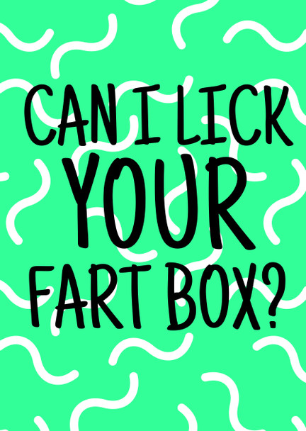 Naughty 419 Can I Lick Your Fart Box  Birthday Card