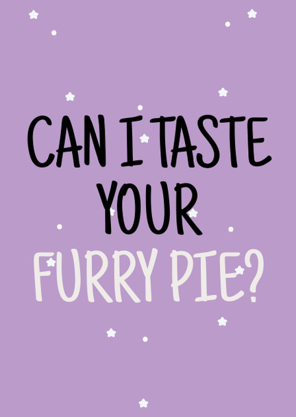 Naughty 421 Can I Taste Your Furry Pie  Birthday Card