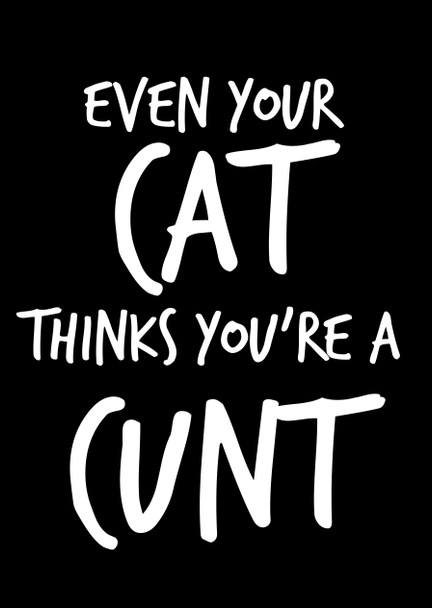 Naughty 92 Even Your Cat Thinks You're A Cunt Birthday Card