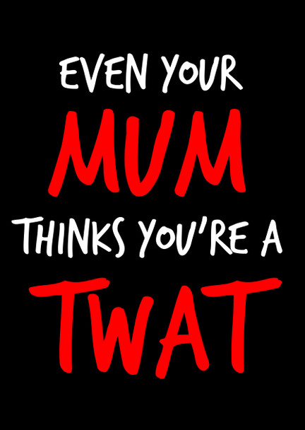 Naughty 97c Even Your Mum Thinks You're A Twat Birthday Card
