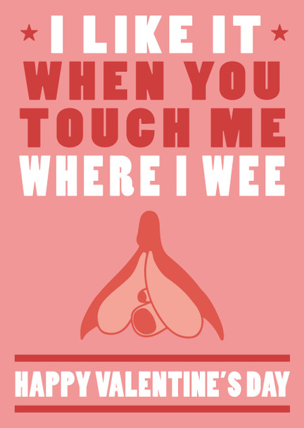 I Like It When You Touch Me Where I Wee Happy Valentines Day Birthday Card