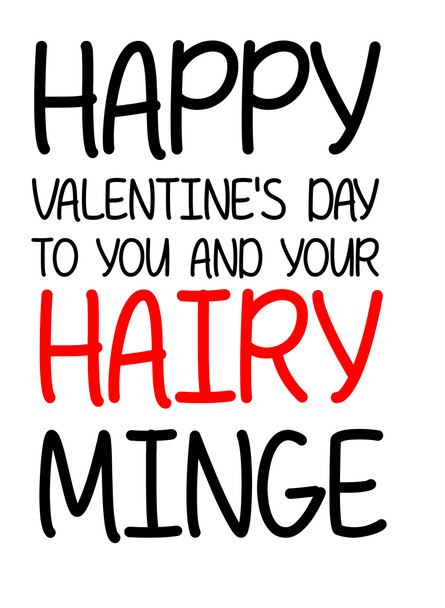 Naughty 124 Happy Valentine's Day To You And Your Hairy Minge Birthday Card