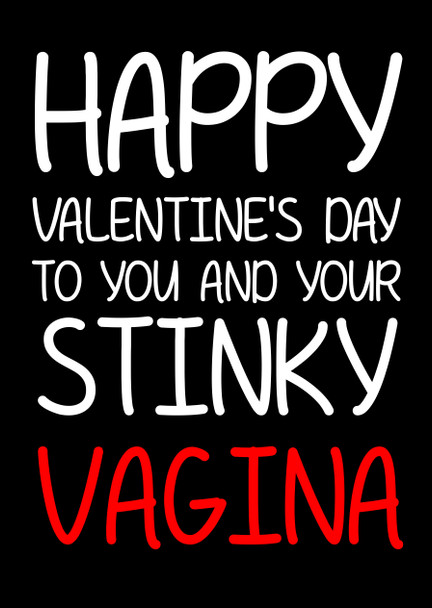 Naughty 128a Happy Valentine's Day To You And Your Stinky Vagina Birthday Card