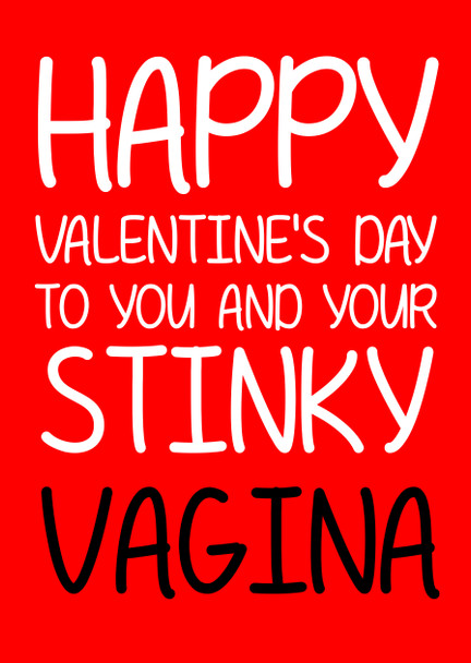 Naughty 128b Happy Valentine's Day To You And Your Stinky Vagina Birthday Card