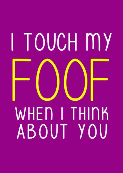 Naughty 171a I Touch My Foof When I Think Of You Birthday Card