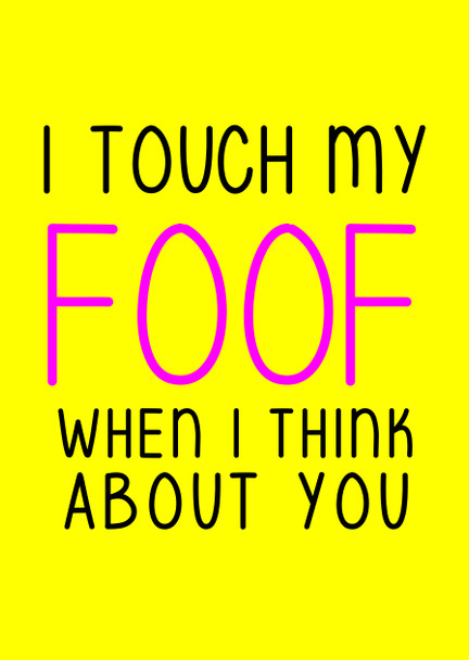Naughty 171b I Touch My Foof When I Think Of You Birthday Card