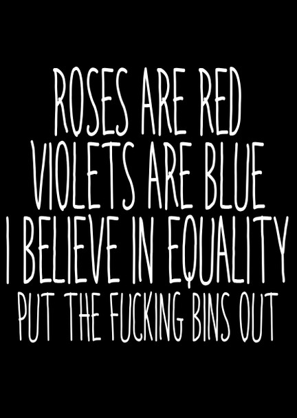Naughty 25a Roses Are Red Violets Are Blue I Believe In Equality Put The Fucking Bins Out Birthday Card