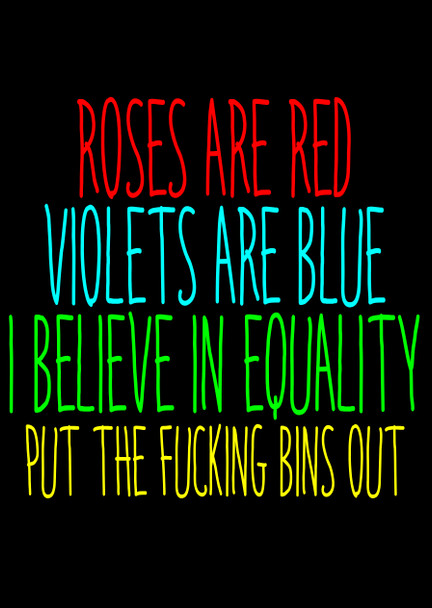 Naughty 25b Roses Are Red Violets Are Blue I Believe In Equality Put The Fucking Bins Out Birthday Card