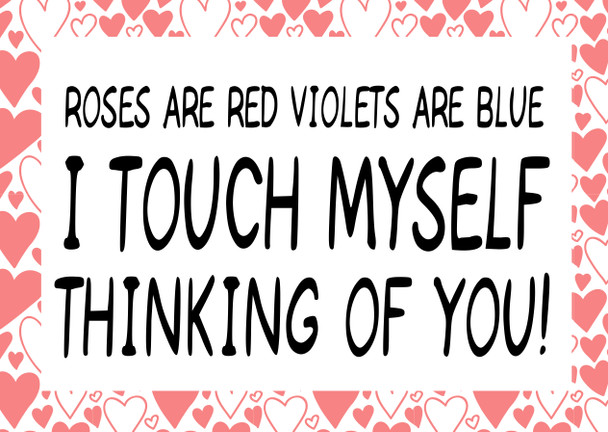 Naughty 332 Roses Are Red Violets Are Blue I Touch Myself Thinking Of You Birthday Card