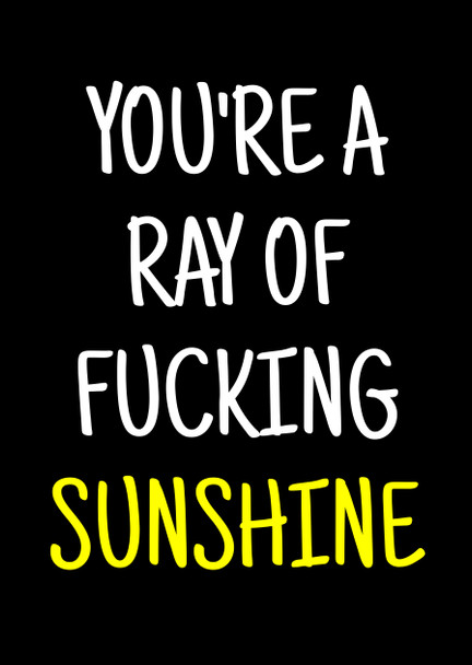 Naughty 348a You're A Ray Of Fucking Sunshine Birthday Card