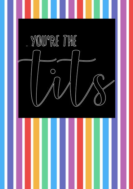 Naughty 391 You're The Tits Birthday Card