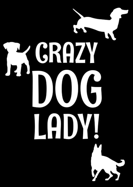 Naughty 70c Crazy Dog Lady Birthday Card