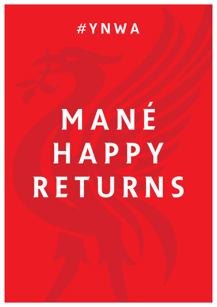 Mane Happy Returns Birthday Card