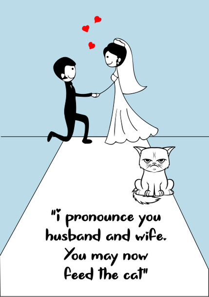 Pronounce You Husband And Wife You May Now Feed The Cat Birthday Card