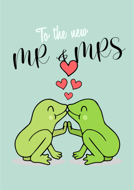 To The New Mr And Mrs Frogs Birthday Card