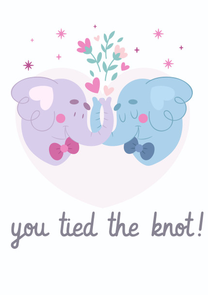 You Tied The Knot Elephant Wedding Birthday Card