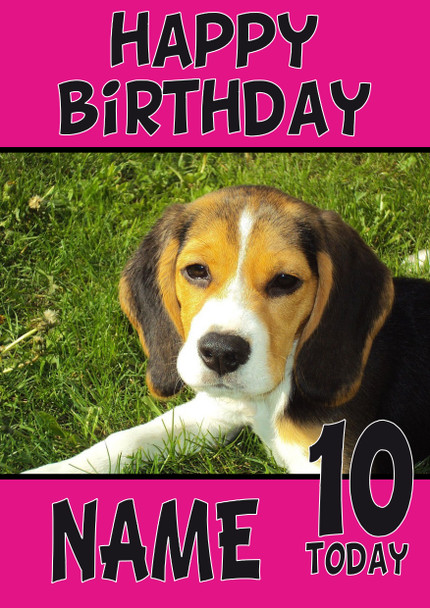 Funny Beagle Puppy Dog Birthday Card