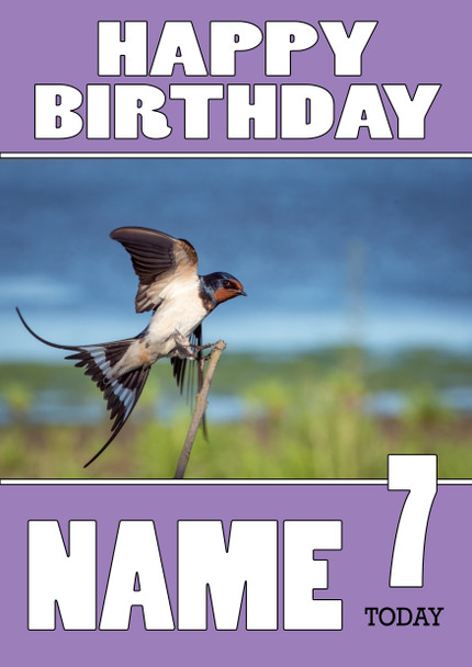 Funny Bird Birthday Card