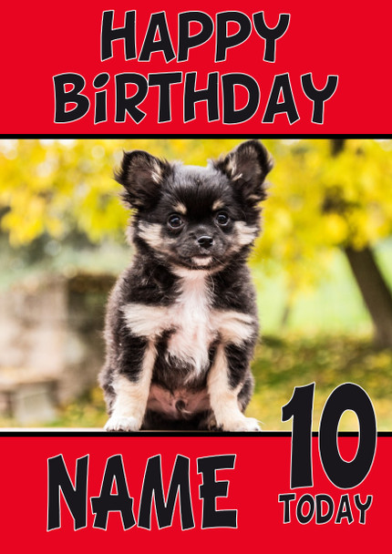 Funny Black Chihuahua Puppy Dog Birthday Card