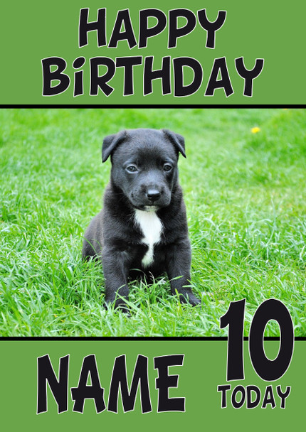 Funny Black Cute Puppy Birthday Card