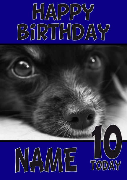 Funny Black Nose Puppy Birthday Card