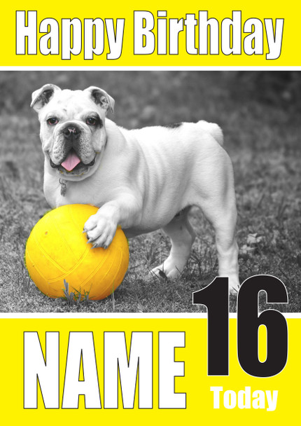 Funny Bulldog Ball Birthday Card