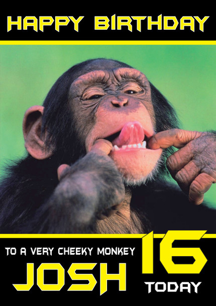 Funny Cheekey Monky Teenager Birthday Card