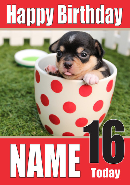 Funny Chihuahua Teacup Birthday Card