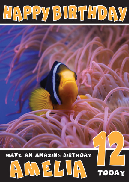 Funny Clown Fish 3 Birthday Card