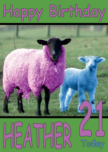 Funny Colourful Sheep Birthday Card