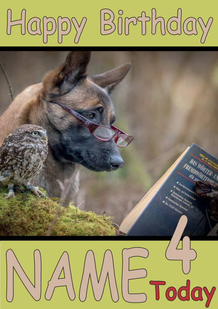 Funny Dog And Owl Reading Birthday Card